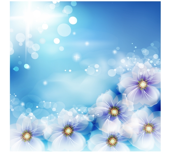蓝色花卉花纹光背景