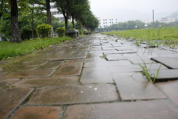 下雨天的小路