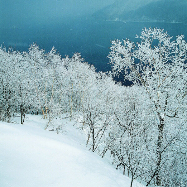 冬天雪景