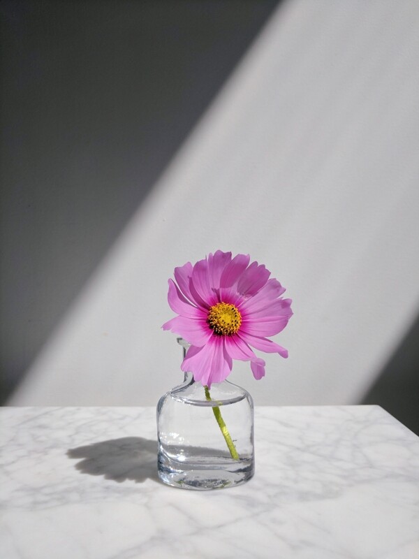 一束光大理石面玻璃瓶一朵花