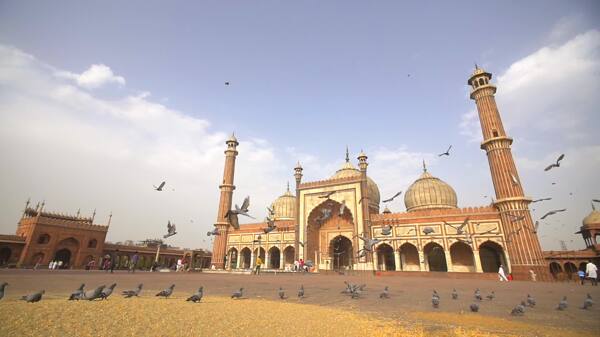 贾玛清真寺前的一群鸽子
