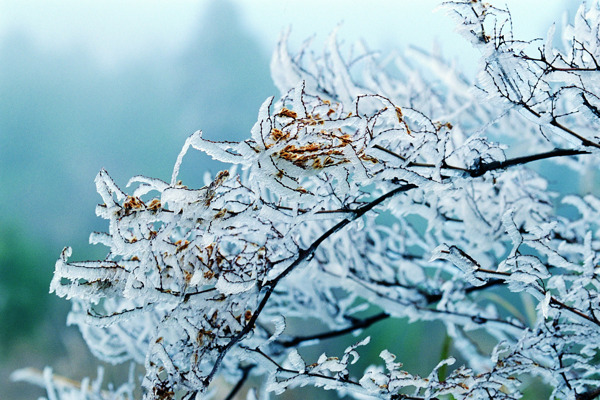 冬天雪景