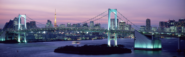 横幅城市夜景大桥风光图片