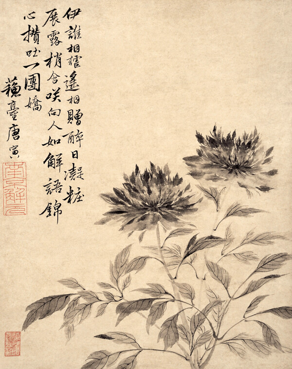 水墨中国画牡丹图片