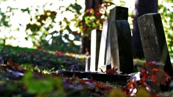 秋天的墓地