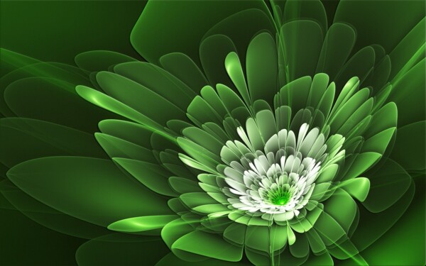 绿色光影花朵