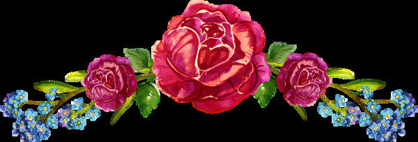 红火玫瑰透明素材