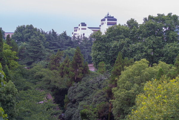 武汉大学图片