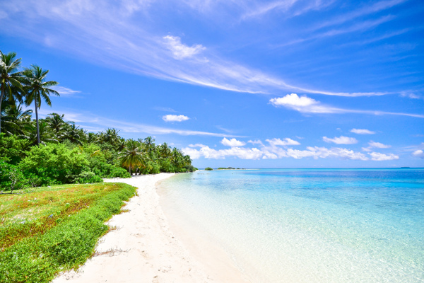 热带海滩椰树蔚蓝天空