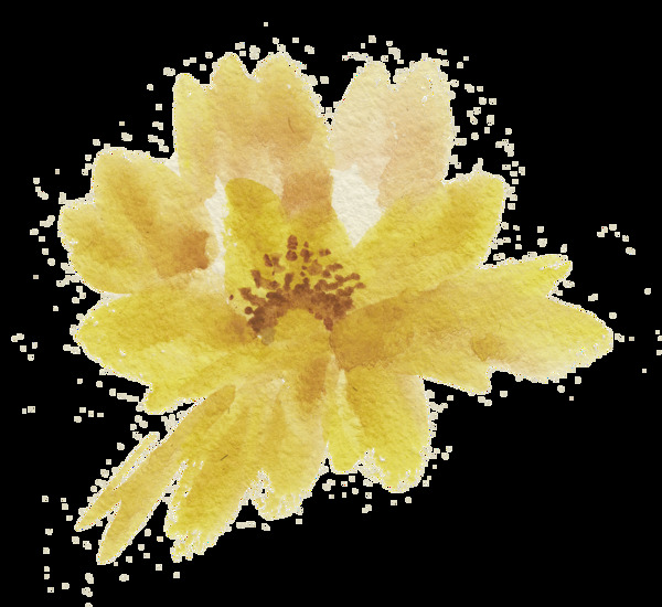 黄粉花瓣透明装饰素材