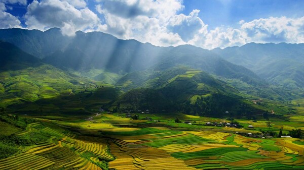 田园风景