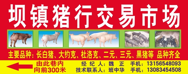 猪行广告牌图片