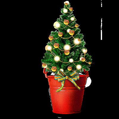精美盆栽圣诞树透明元素
