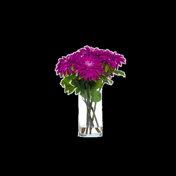 鲜艳紫红色花朵花束实物元素