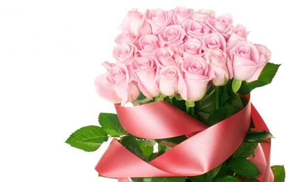 高清粉色玫瑰花图片