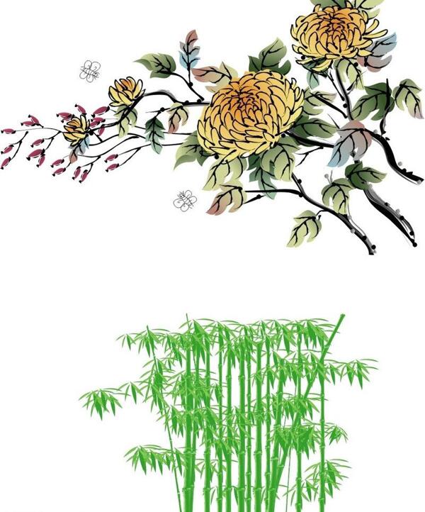 菊和竹图片