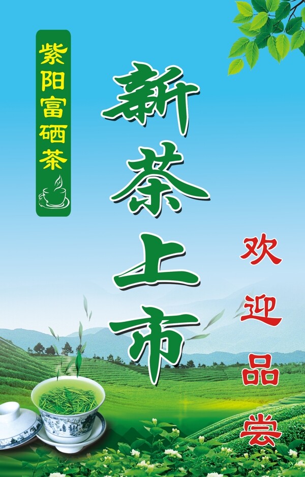 紫阳富硒茶