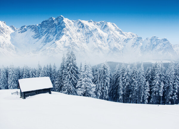 雪地里的房子图片