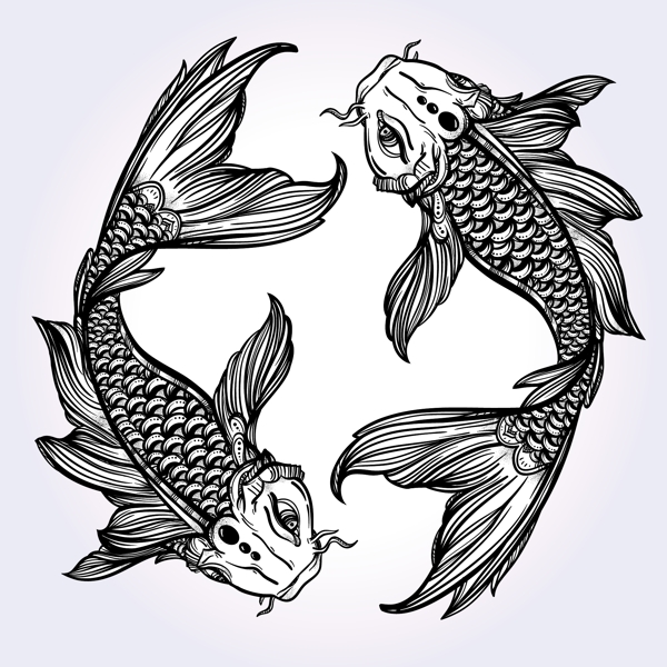 鲤鱼装饰花纹