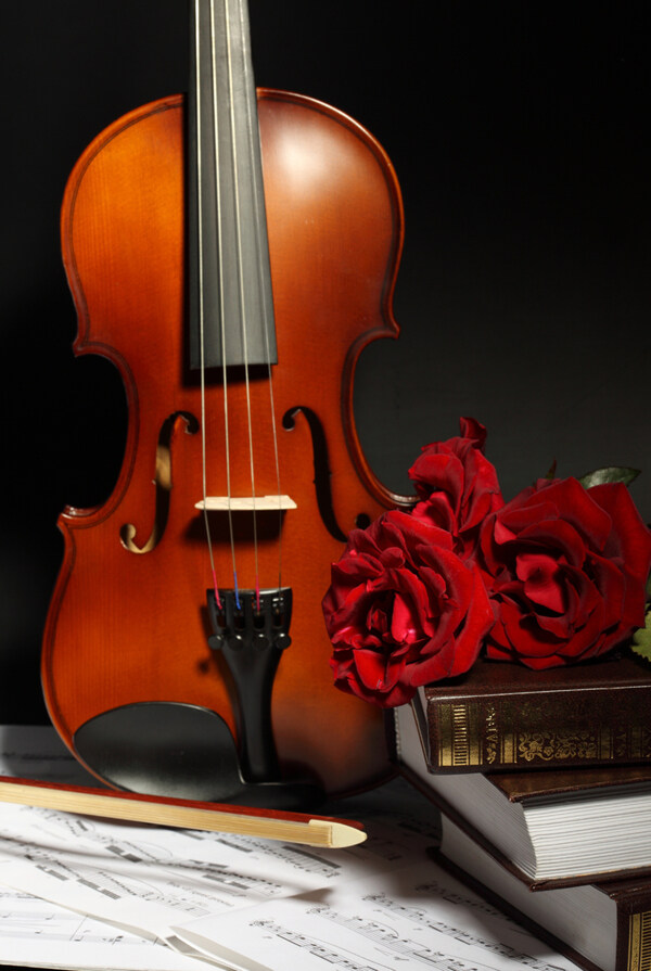 红玫瑰与小提琴高清图片