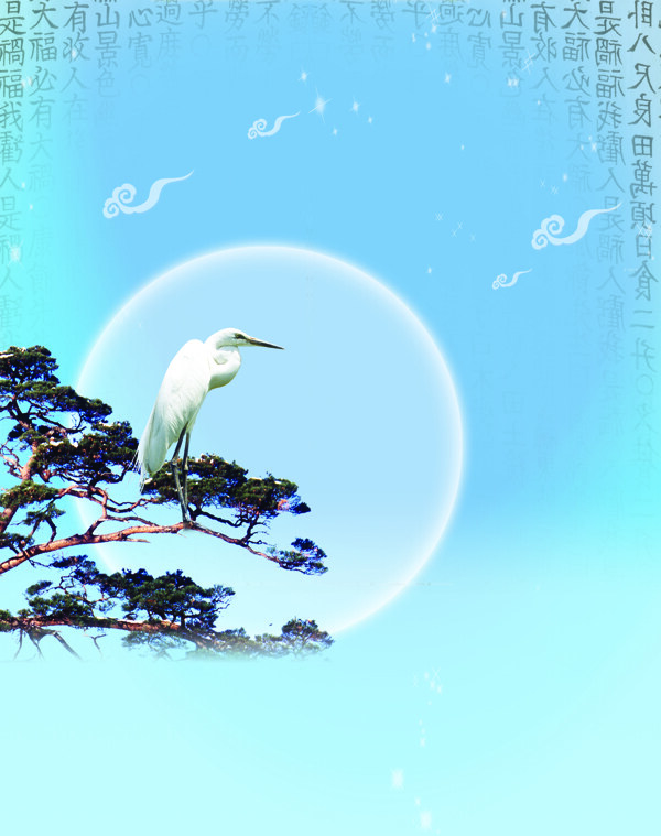 中国风站在树枝上的鸟