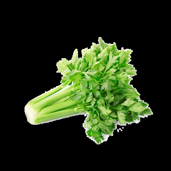 新鲜芹菜蔬菜元素