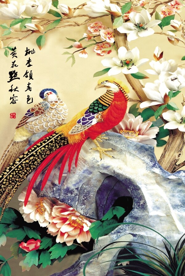 锦鸡孔雀牡丹花栀子花背景墙装饰图片