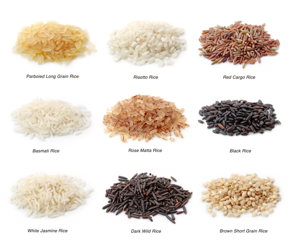 不同品种大米图片