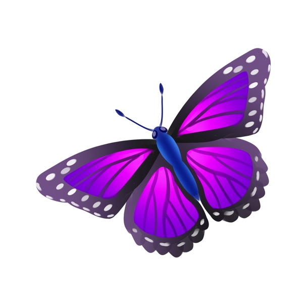 紫色蝴蝶动物插画