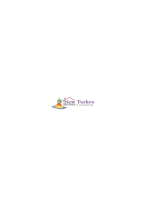 NewTurkeylogo设计欣赏NewTurkey旅游网站标志下载标志设计欣赏