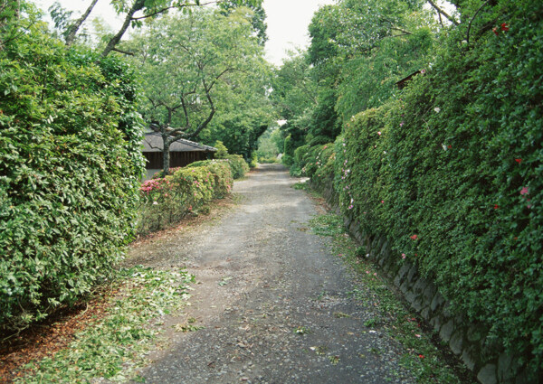 景区公路摄影图片