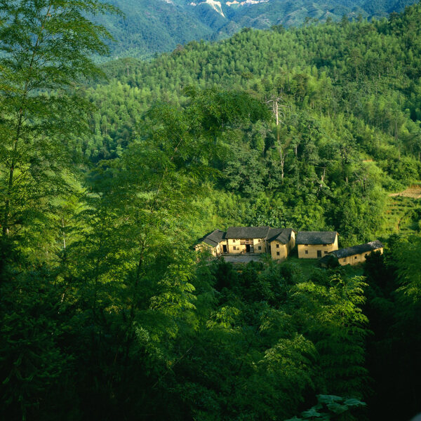 深山树林人家图片