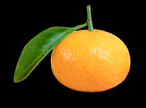 橘子带叶橘橙子水果图案赣南橙