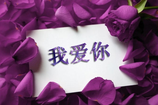 紫玫瑰中的爱