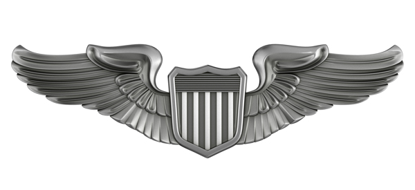 翅膀盾牌徽章
