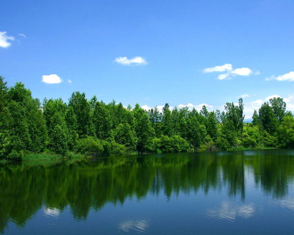 青山绿水