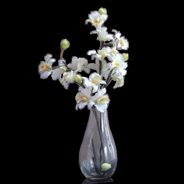 花瓶插花花朵