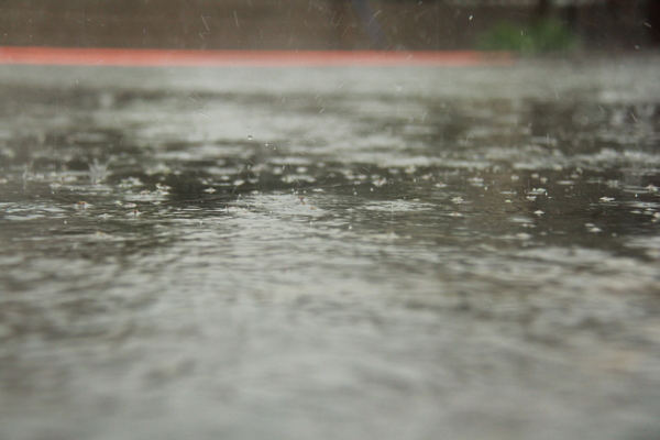 雨珠图片