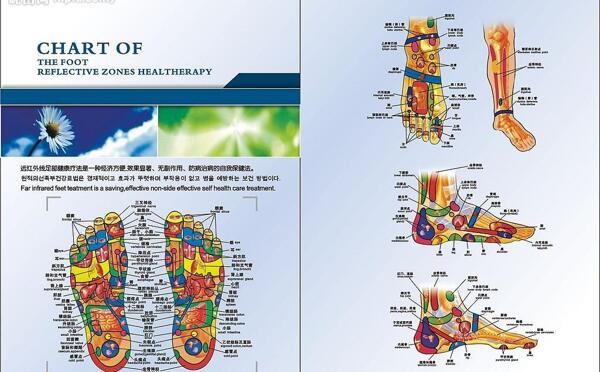 足疗足部穴位图片