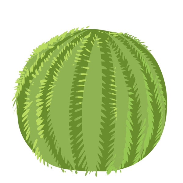 绿色圆形植物