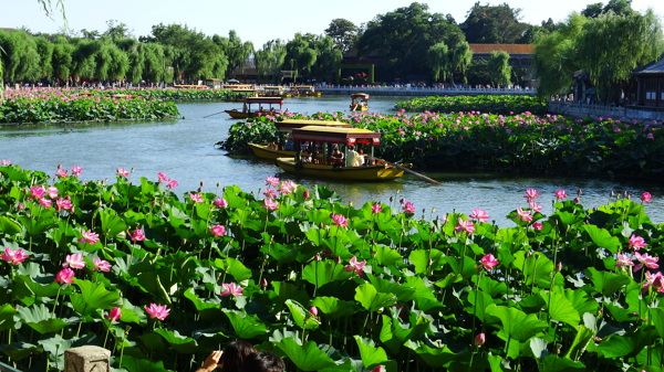 北京北海公园风景