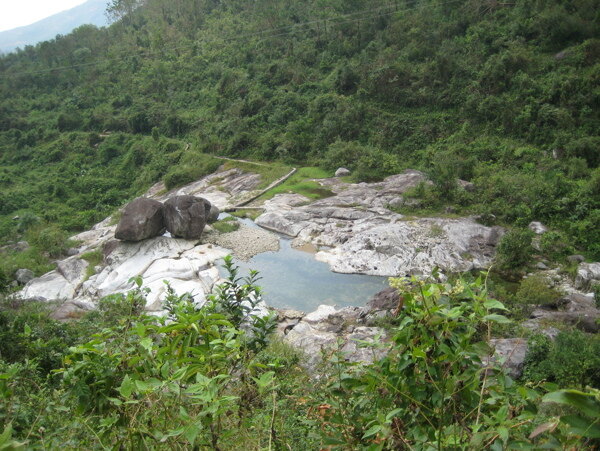 树植物水风景