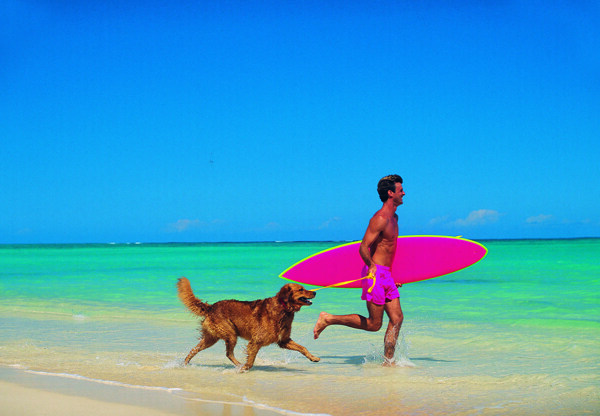 沙滩上遛狗的外国男士图片