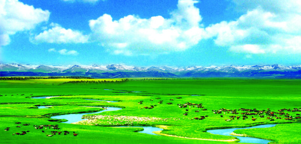 新疆大草原雪山蓝天白云牛羊图片