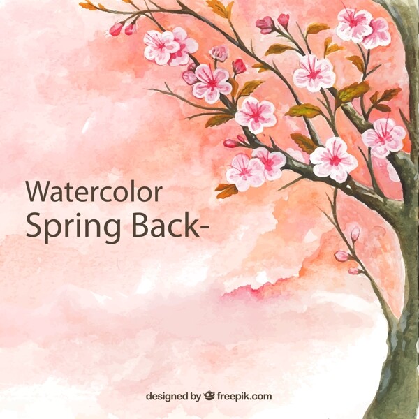 春季粉色樱花树图片