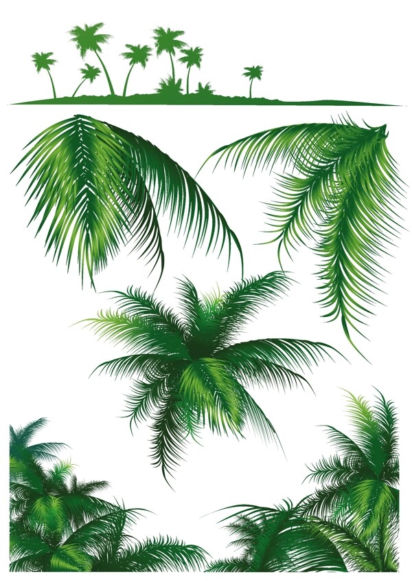 椰子树图