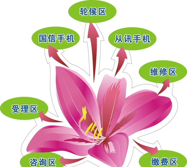 紫荆花指示牌图片
