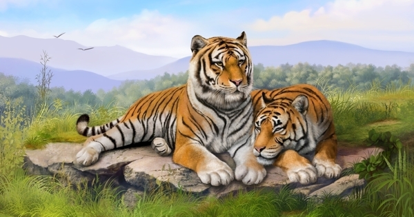 两只老虎手绘风景