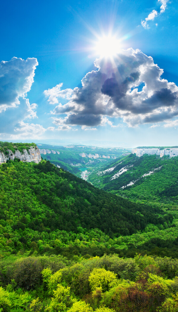 峡谷树林风景图片图片