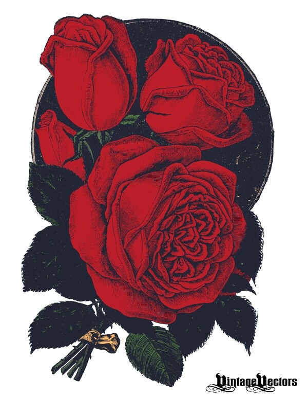 复古玫瑰图案矢量素材